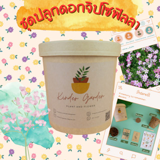 ชุดปลูกดอกจิปโซฟิลล่า ชุดปลูกดอกไม้ ชุดพร้อมปลูก ชุดของขวัญ …