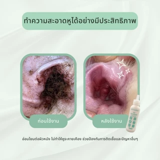 น้ำยาทำความสะอาดหูและฆ่าเชื้อสำหรับสุนัขและแมว Kitty and Doggy