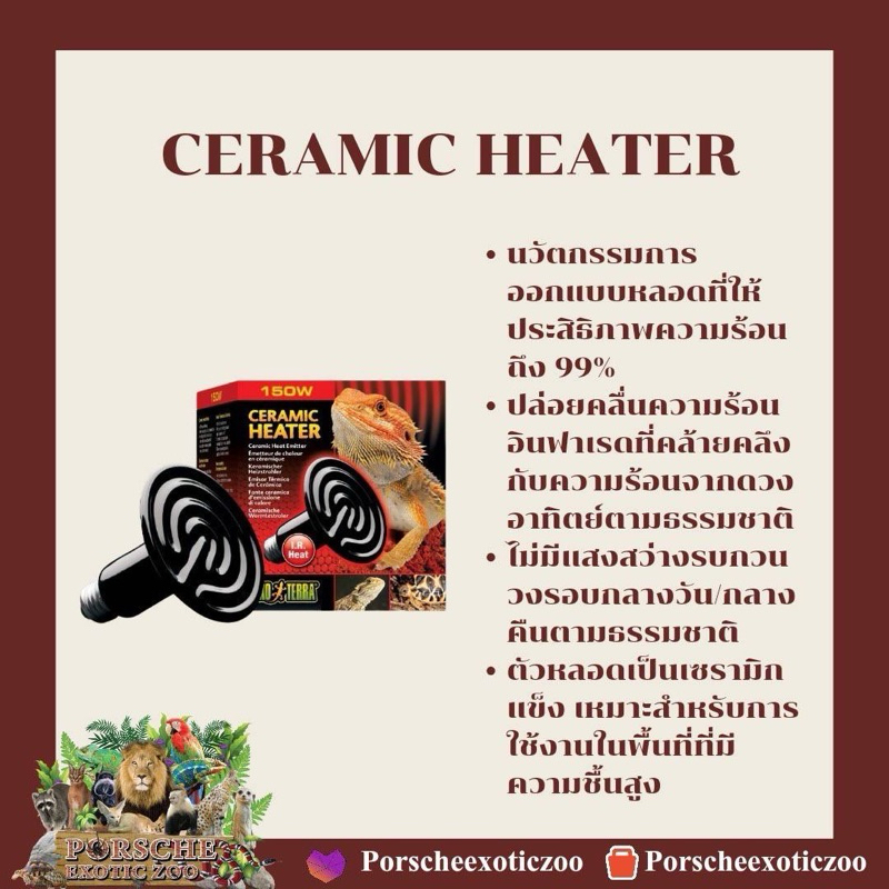 ไฟกกสัตว์ CERAMIC HEATER EXO TERRA