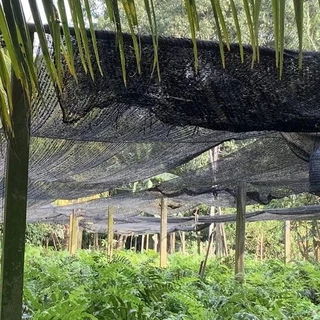 สแลนกันแดด ตาข่ายกรองแสง 2×10m กัน UV Shading Net เกรดA ทอแน่น ทนทาน ใช้ได้กับโรงเรือน กันสาด บ้านสวน
