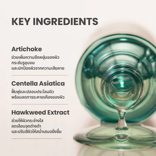 AXIS-Y Artichoke Intensive Skin Barrier Ampoule 30 ml อาร์ติโชค อินเทนซีฟ สกิน แบริเออร์ แอมพูล