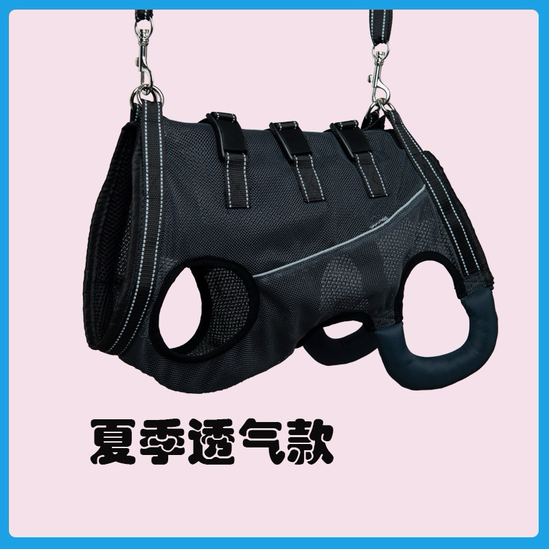 สายพยุงสุนัข ที่พยุงสุนัข ฝึกกายภาพบำบัด แบบเต็มตัว [พร้อมส่ง] - รูปที่ 5