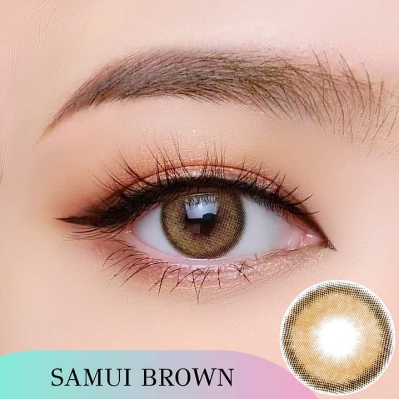 Samui /Mini Samui brown Dream color1(0.00/-6.00)