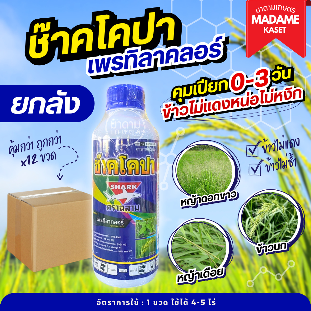 ยกลัง x12 ขวด**จำกัดออเดอร์ละ1ลัง** | ช๊าคโคปา (เพรทิลาคลอร์) คุมเลน คุมเปียก คุมวัชพืช 0-3 วัน รับประกันข้าวไม่แดง หน่อ