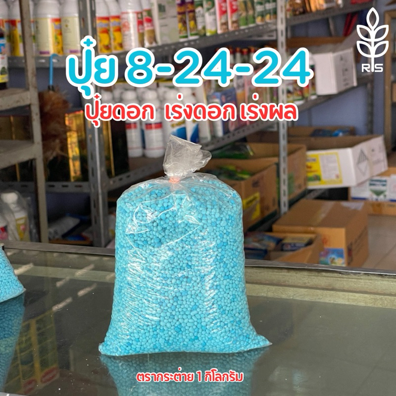 ปุ๋ย 8-24-24 ปุ๋ยดอก เร่งดอก เร่งผล🌸🌸 (แบ่งขาย 1 กิโลกรัม) ตรากระต่าย