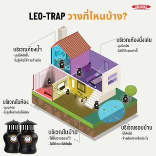 Leo-Trap กับดักไข่ยุงลาย นวัตกรรมกรมวิทย์ฯ กําจัดไข่ยุงลาย ไม่ใช้ไฟฟ้า สารเคมี 1 กล่องมี 2 กับดัก