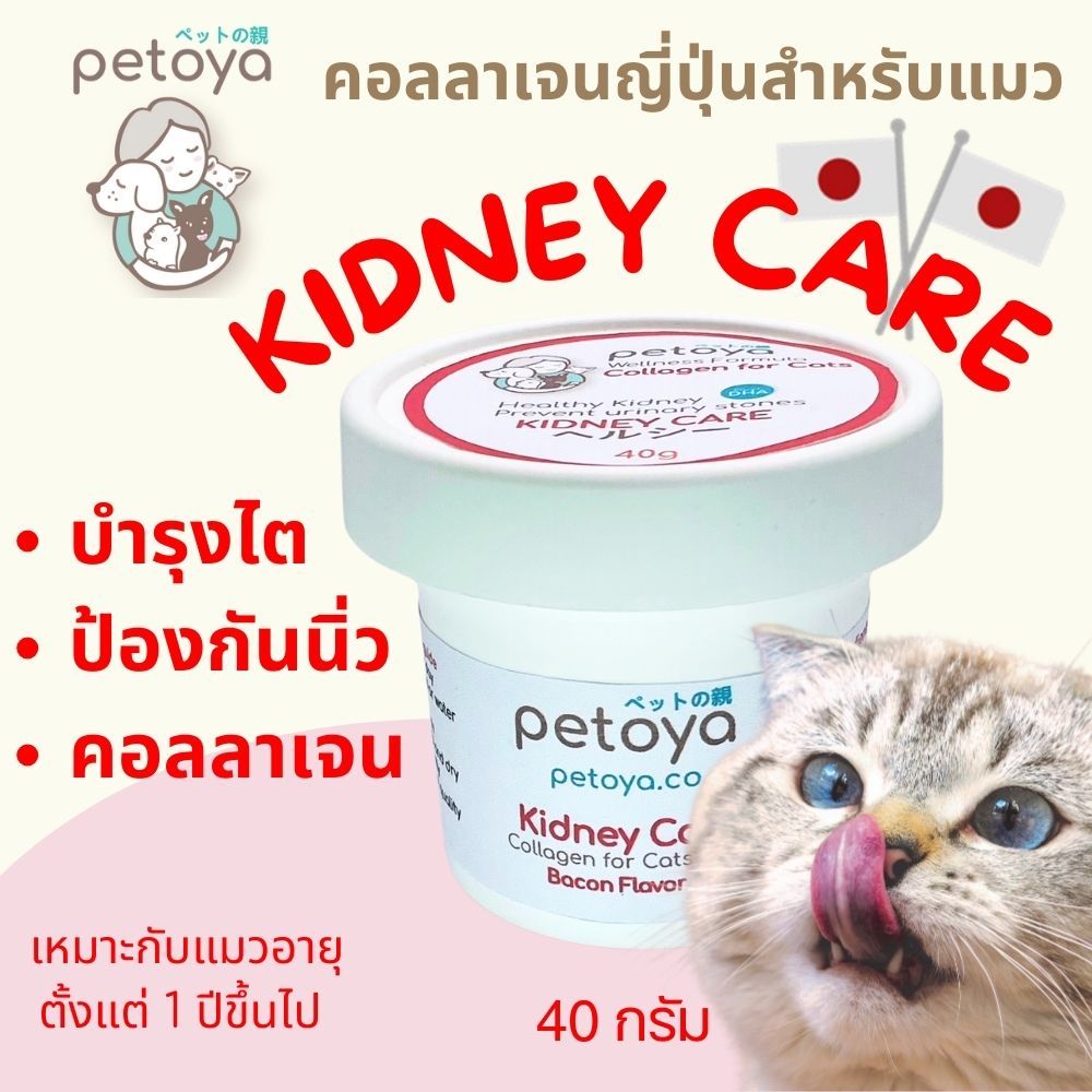 คอลลาเจนญี่ปุ่นสำหรับแมว สูตร KIDNEY CARE บำรุงไต ป้องกันนิ่ว