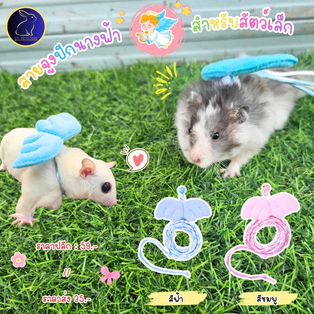 สายจูงหนูแฮมเตอร์ สายจูงปีกนางฟ้า นก หนูแฮมเตอร์ ชูการ์ กระรอก เกรดคุณภาพ สายจูงสัตว์เลี้ยง