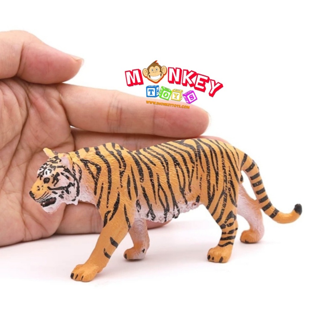 Monkey Toys - โมเดลสัตว์ Tiger เสือ โคร่ง ขนาด 12.50 CM (จากหาดใหญ่)