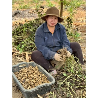เมล็ดพันธุ์ถั่วลายเสือดิบ เหมาะสำหรับนำไปปลูกหรือนำไปประกอบอาหาร ก็ได้ครับ