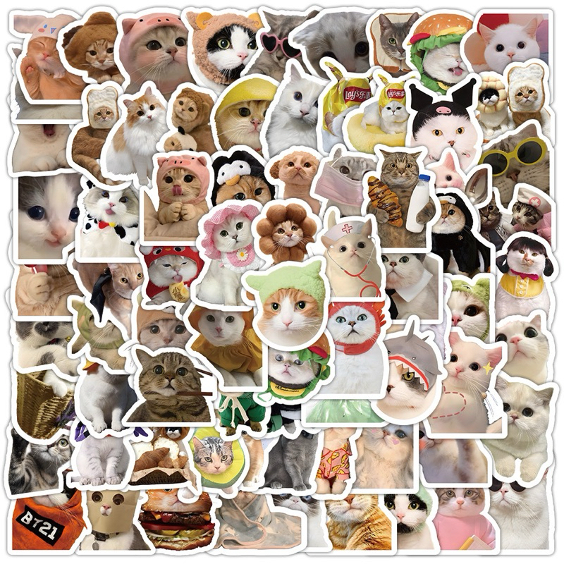 💥จัดส่งไว💥(249)สติกเกอร์ตกแต่งรูปน้องแมว 100 ชิ้น