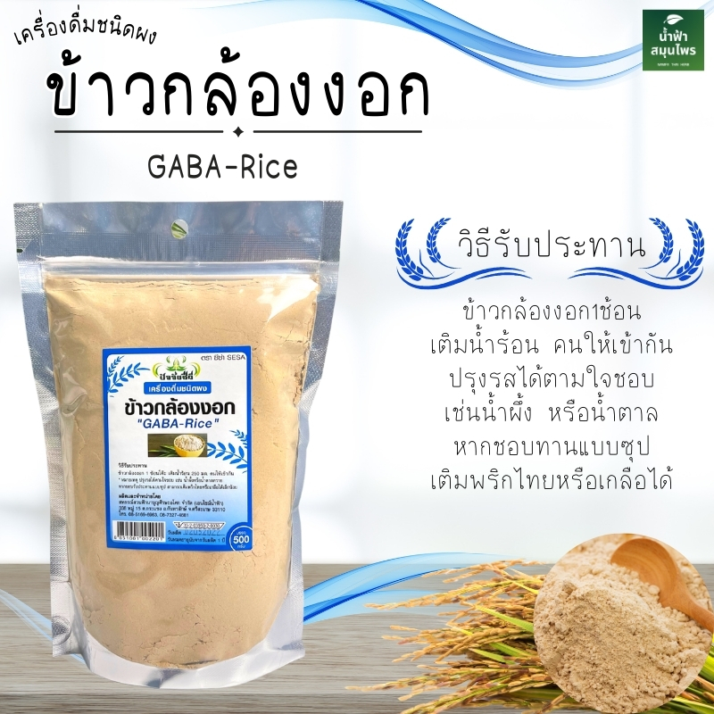ข้าวกล้องงอก 500 กรัม ปัจจัยชีวี  มี Gaba พร้อมส่ง ผลิตจากข้าวไร้สารเคมี
