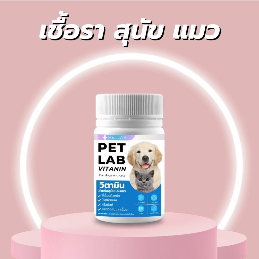 รูปภาพ 6