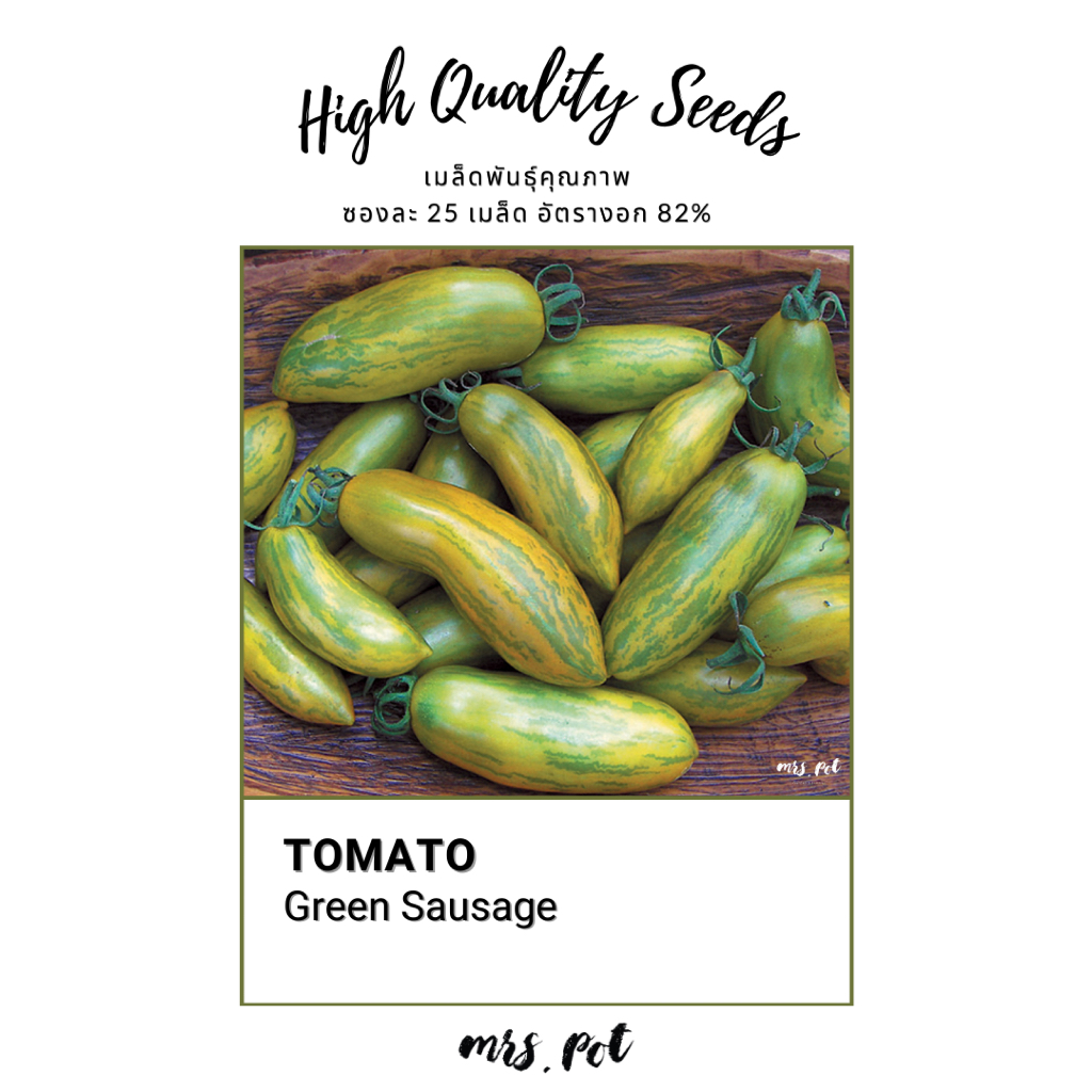 เมล็ดมะเขือเทศ Green Sausage Tomato รหัส015