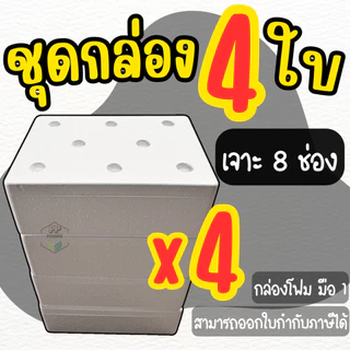 กล่องโฟมปลูกผักไฮโดรโปนิกส์ เจาะ 8 ช่องชุด 4 ใบ กล่องโฟมชุด 4 ใบ พร้อมปลูก (ชุด 4 ใบ มือ 1)