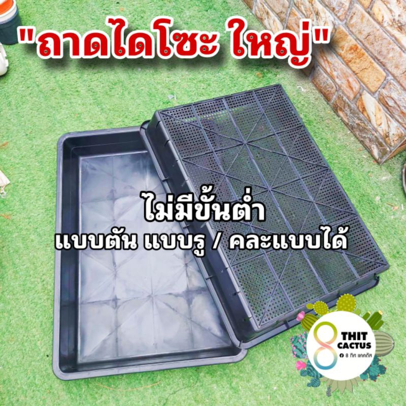 // ถาดไดโซะ ใหญ่ // 35.5x50x8 cm // ทึบ ตัน ถาดมีรู ถาดเพาะ ต้นอ่อน