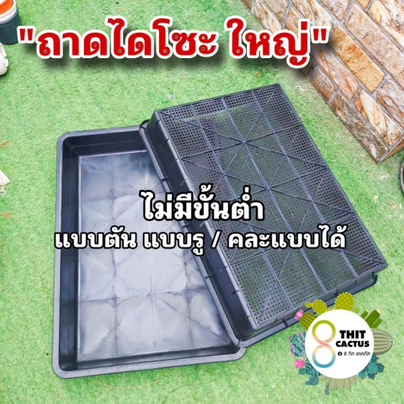 ##++ ถาดไดโซะ ใหญ่ // 35.5x50x8 cm // ทึบ ตัน ถาดมีรู ถาดเพาะ ต้นอ่อน +5