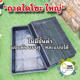 ##++ ถาดไดโซะ ใหญ่ // 35.5x50x8 cm // ทึบ ตัน ถาดมีรู ถาดเพาะ ต้นอ่อน +5