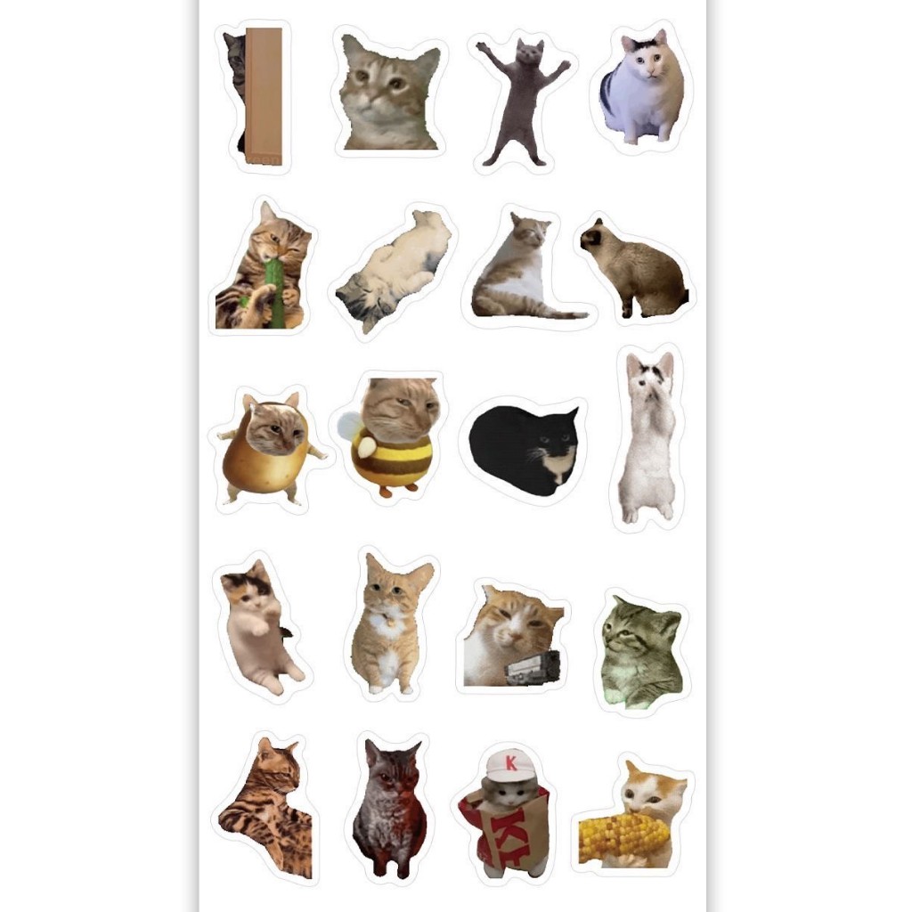 พร้อมส่ง สติกเกอร์มีมแมว มีมแมวตลก Funny cat meme sticker ไว้แปะเคส สมุด กระเป่า สติกเกอร์ตลก 52018 ราคา ถูกที่สุด ดีลบีเคเค แกลเลอรีภาพที่ 7