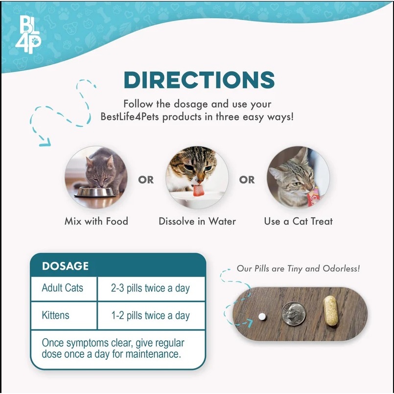 รูปภาพ 5