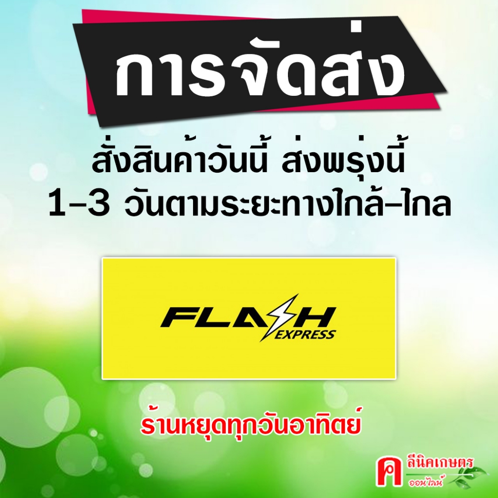 ไมค์ปา MCPA ( เอ็มซีพีเอ ) 1 ลิตร สารกำจัดวัชพืช กก เทียนนา ลักเขียด หนวดปลาดุก แห้วหมู - รูปที่ 3