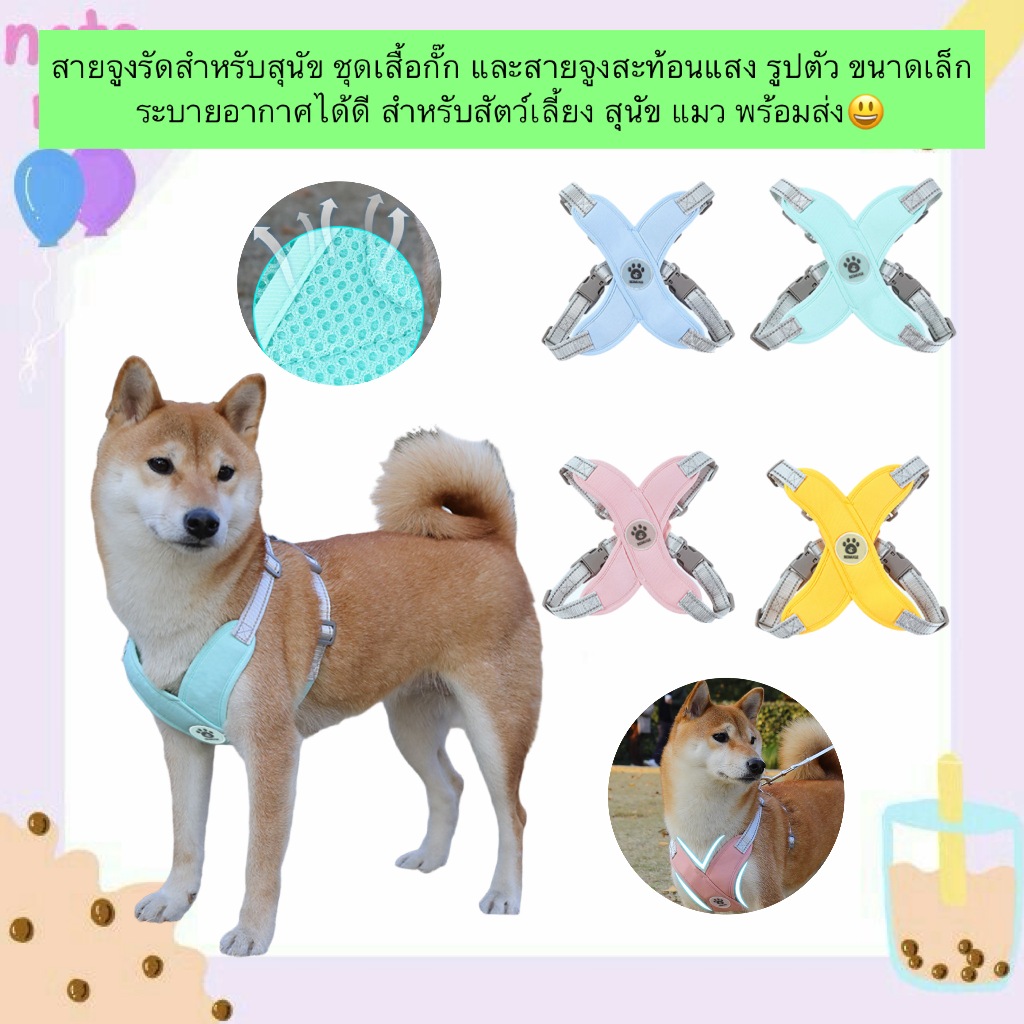 PP-710 สายจูงพร้อมเสื้อรัดอก สำหรับสุนัขและแมว ขนาดเล็ก มาพร้อมสายจูงสะท้อนแสง แข็งแรง ทนทาน พร้อมส่ง 🐶🐱