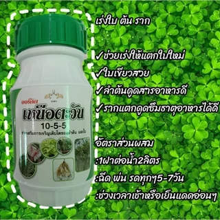สมุนไพรกำจัดแมลง ออร์คิดโกลด์เด้นสีส้ม ไล่แมลง กำจัดศัตรูพืชแบบปลอดภัยต่อคน สมุนไพรจากสะเดา ใบยาสูบ สาปเสือ