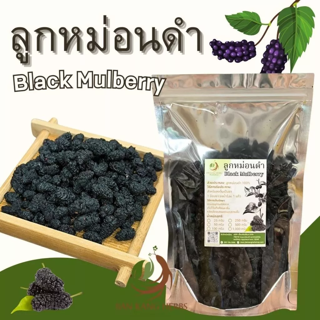 ลูกหม่อนดำ 250 500 กรัม มัลเบอร์รี่อบแห้ง ลูกหม่อนอบแห้ง Dried Black Mulberry Hei Sang Shen Gan 黑桑葚干 ชาลูกหม่อนดำ