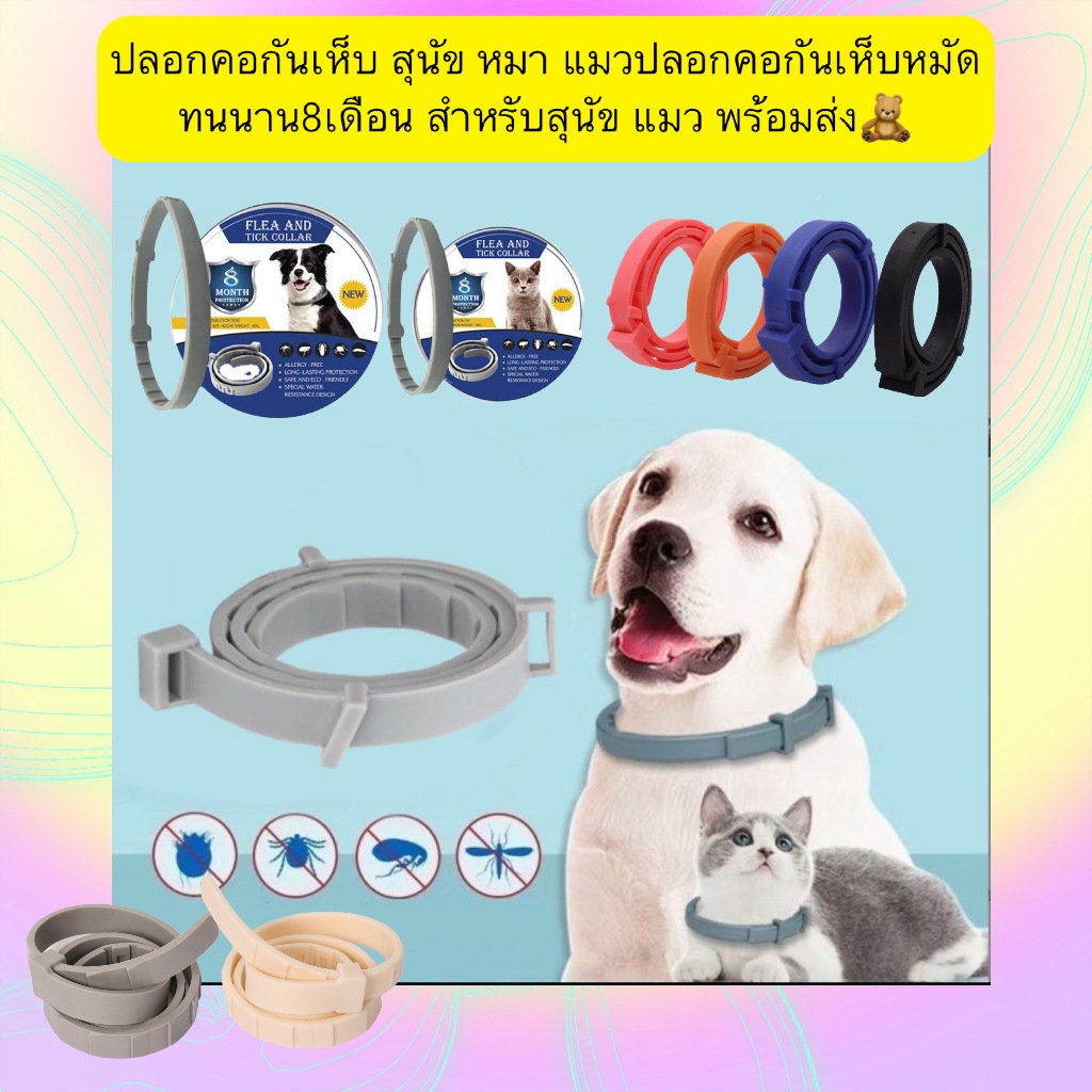 MG-675 ปลอกคอกันเห็บ สุนัข หมา แมว ปลอกคอกันเห็บหมัด ทนนาน 8 เดือน สำหรับสุนัขและแมว พร้อมส่ง 🧸
