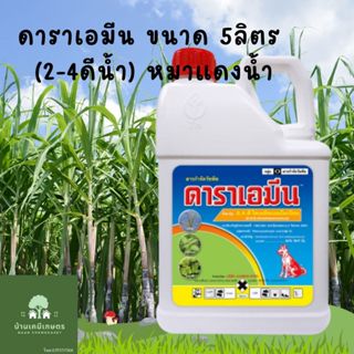 ดาราเอมีน 2-4ดีน้ำ หมาแดงน้ำ ขนาด 5ลิตร กำจัดวัชพืชใบกว้าง