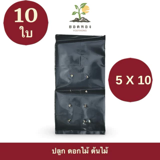 (ส่งด่วนส่งทันที) Yodthong ถุงเพาะชำ ถุงปลูกผัก เจาะรู เพาะกล้า ถุงปลูกต้นไม้ เหนียวมาก แบบชุด 10 ใบ กระถางปลูกต้นไม้