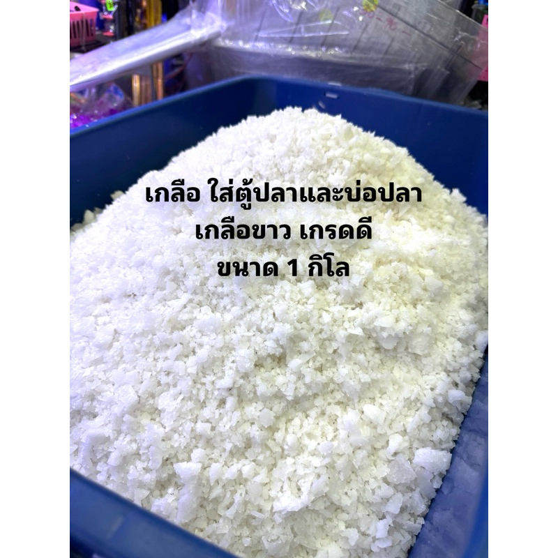 เกลือสมุทร 1กิโล ใส่ตู้ปลาหรือบ่อปลา