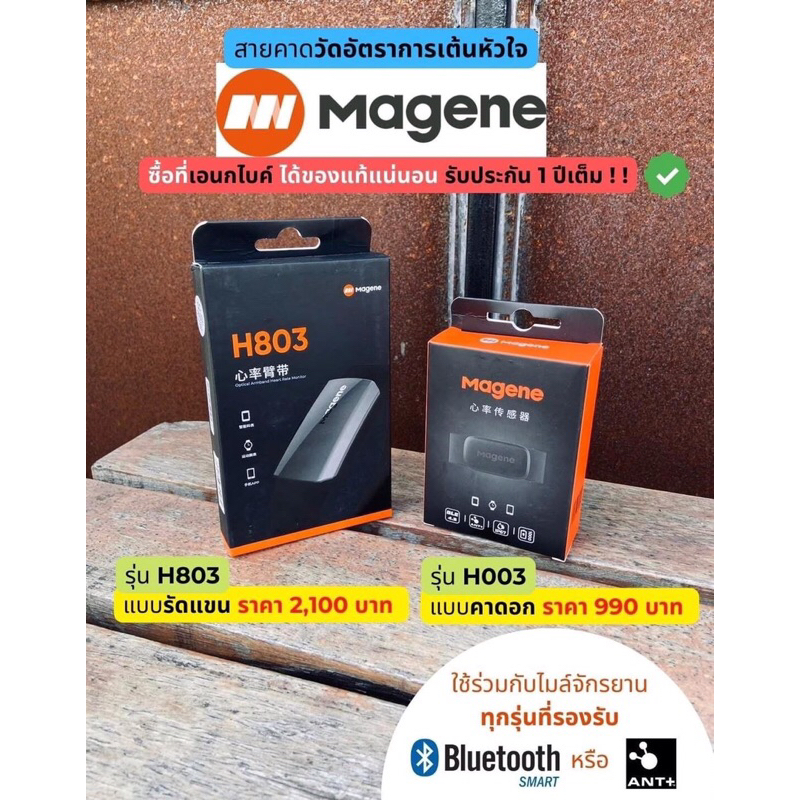 Magene H803 Heart Rate Armband  สายวัดอัตราการเต้นหัวใจแบบรัดแขน