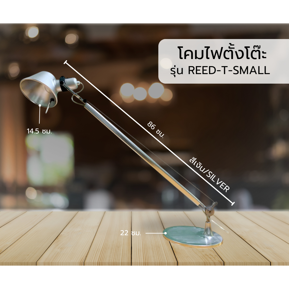 FL Decor โคมไฟตั้งโต๊ะ คุณภาพดี ปรับระดับได้ รุ่น REED-T-SMALL / โคมไฟอ่านหนังสือ Table Lamp (สีเงิน