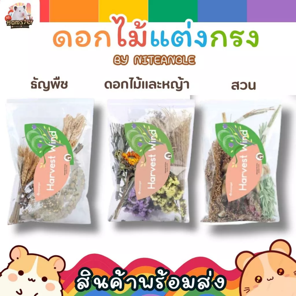 [Hi Hamster] พร้อมส่ง‼️ Harvest Wind Flexseed ธัญพืช มิลเล็ต รองกรง หญ้า Niteangle แอสเพน สัตว์เลี้ยง แฮมสเตอร์