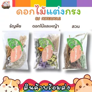 [Hi Hamster] พร้อมส่ง‼️ Harvest Wind Flexseed ธัญพืช มิลเล็ต รองกรง หญ้า Niteangle แอสเพน สัตว์เลี้ยง แฮมสเตอร์