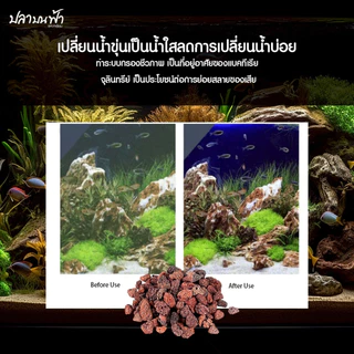 หินลาวาแดง หินลาวาดำ วัสดุกรองตู้ปลา บ่อปลา จากธรรมชาติ จมน้ำ มีรูพรุนสูง ช่วยเป็นที่อยู่ของแบคทีเรียได้เป็นอย่างดี