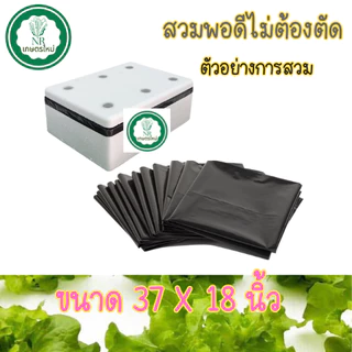 ถุงรองกล่องโฟม ถุงขาวรองกล่องโฟมปลูกผักไฮโดรโปนิกส์ ถุงรองกล่องกุ้ง (ใส่ได้พอดีไม่ต้องตัด)