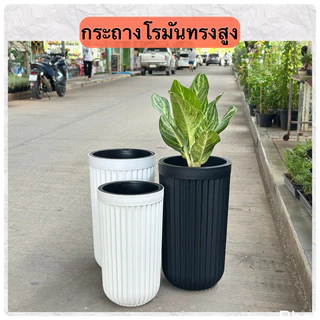 ‼️ถูก ส่งเร็วทันใจ‼️ กระถางโรมันทรงสูง กระถางพลาสติกทรงสูง