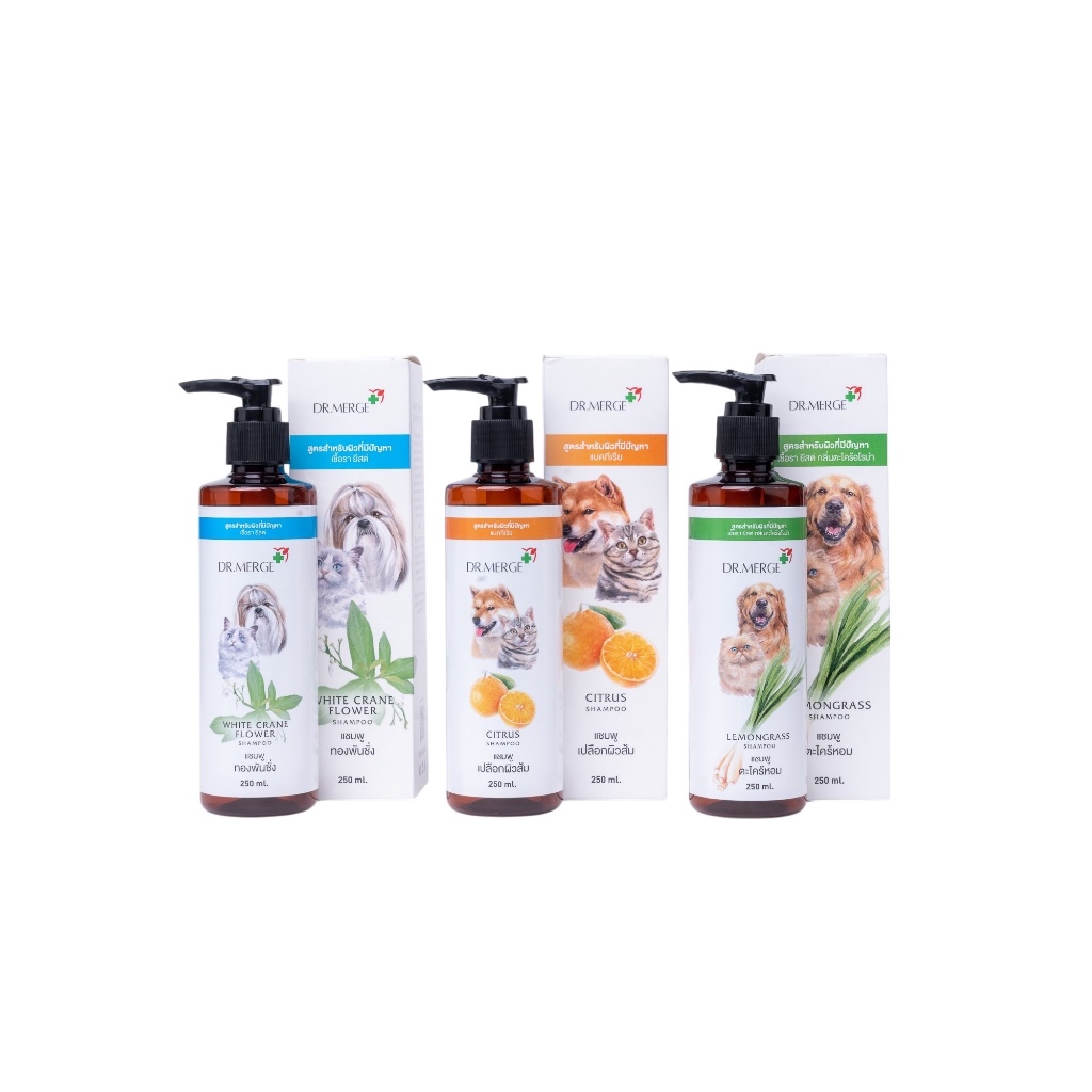 Dr.Merge แชมพู 250 ml และโทนเนอร์ 65 ml สมุนไพรสกัด ทองพันชั่ง เปลือกผิวส้ม ตะไคร้หอม