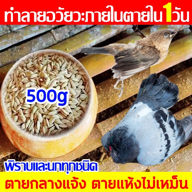 เหยื่อกำจัดนกพิราบ นกกระจอก นกกระจิบ ยาเบื่อนก สูตรใหม่ 100%ได้ผล ตายแห้งไม่เหม็น ยาเบื่อนกพิราบ ยากำจัดนก ไล่นกพิราบถา