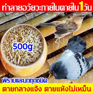 เหยื่อกำจัดนกพิราบ นกกระจอก นกกระจิบ ยาเบื่อนก สูตรใหม่ 100%ได้ผล ตายแห้งไม่เหม็น ยาเบื่อนกพิราบ ยากำจัดนก ไล่นกพิราบถา
