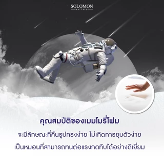 Solomon หมอนเมมโมรี่โฟม รุ่น Potter Pillow รองรับสรีระ ลดปวดคอ หลับสบายตลอดคืน