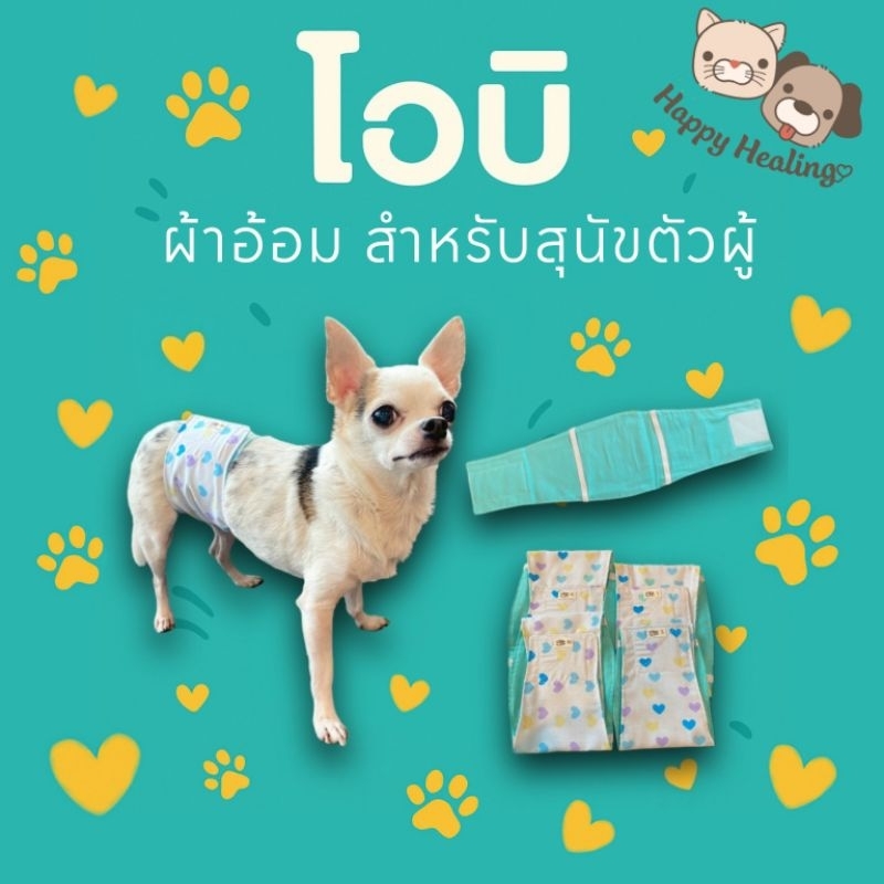 ✅️ส่งฟรี✅️ โอบิ ผ้าอ้อมสำหรับสุนัขตัวผู้ แบบซักได้ ป้องกันฉี่ ป้องกันการผสมพันธุ์ พร้อมส่งจากไทย