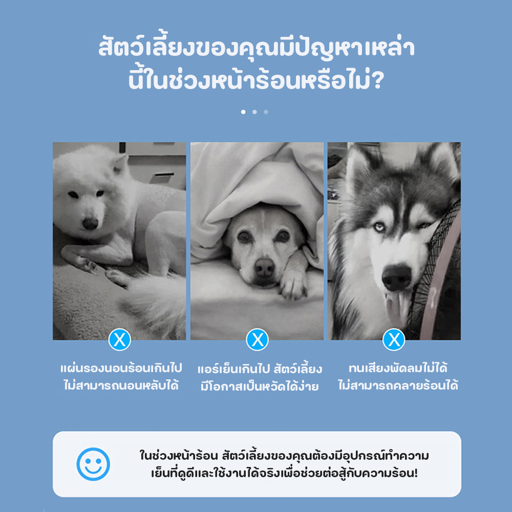 Pawblic ❄Pet Cool Mat แผ่นเจลเย็น แผ่นเจลเย็นแมว แผ่นเจลเย็นแมวสุนัข ที่นอนเย็น เพิ่มวาล์วฉีดน้ำ ราคา ถูกที่สุด ดีลบีเคเค แกลเลอรีภาพที่ 2