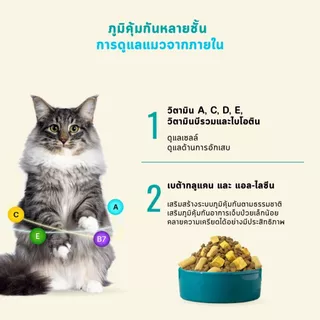 Bite Of Wild F42 ซอง 2กก สูตรปลา 6 ชนิด ปราศจากธัญพืช สำหรับแมวทุกช่วงวัย