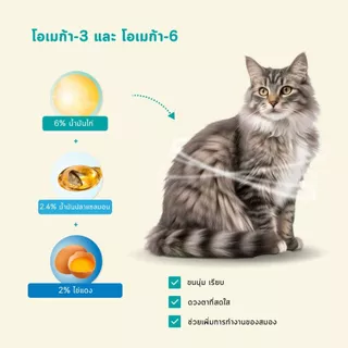 Bite Of Wild F42 ซอง 2กก สูตรปลา 6 ชนิด ปราศจากธัญพืช สำหรับแมวทุกช่วงวัย