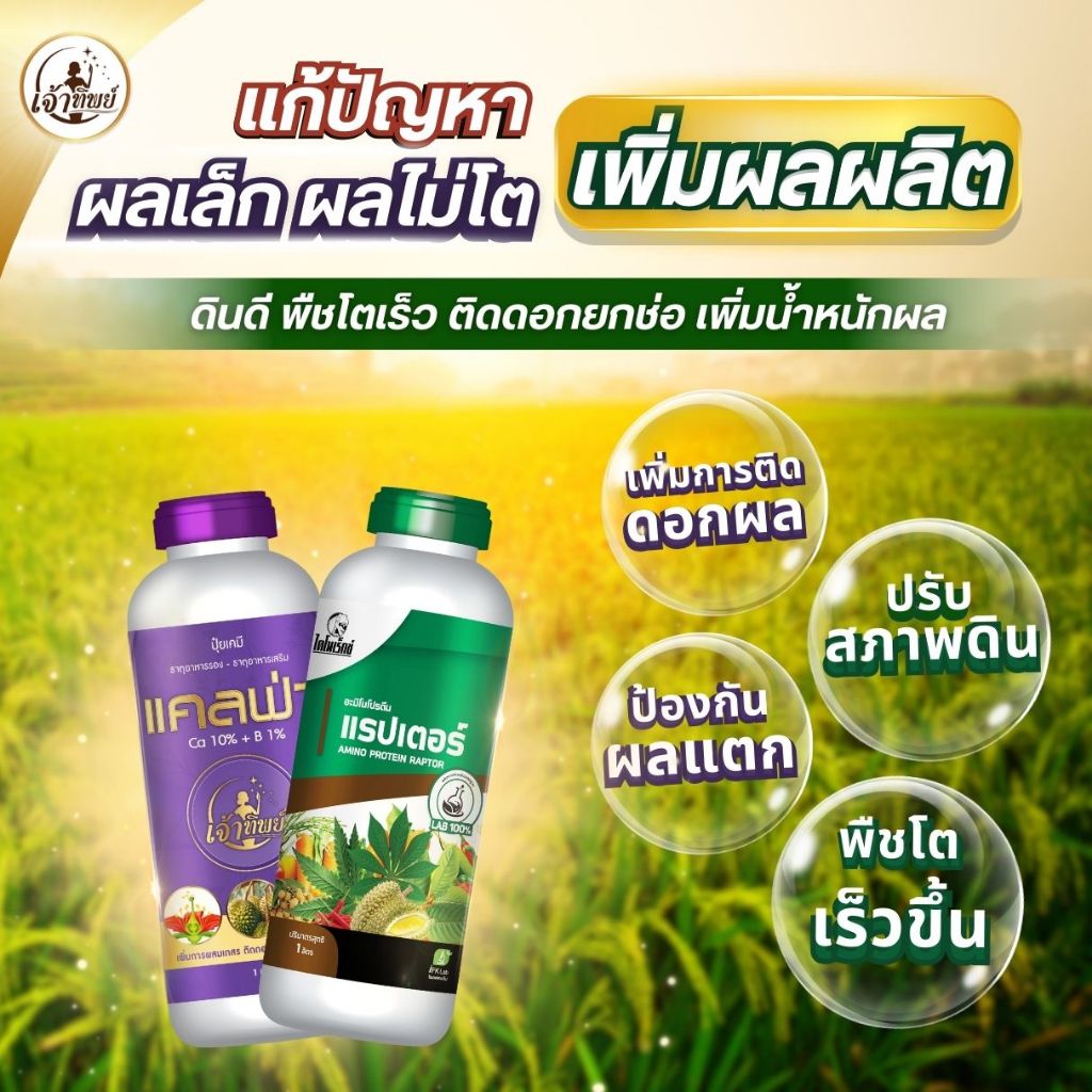 ปุ๋ยเซตคู่ อะมิโนโปรตีนจำเป็นสำหรับพืช 20 ชนิด แรปเตอร์ + แคลฟ่า (ขนาด 1ลิตร) ปุ๋ยน้ำ บำรุงผล ผลดก ติดดอกเยอะ ขั้วเหนียว