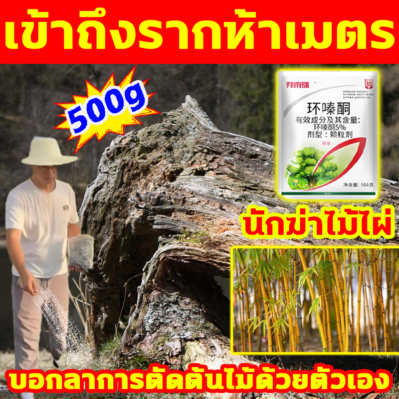 โรยเล็กน้อยก็ตาย ยาฆ่าต้นไม้ เฮกซาซิโนน 5% ยาฆ่าตอไม้ กำจัดต้นไม้และไม้ไผ่จะไม่ทำลายดิน ยาฆ่ากอไผ่ ดทำลายราก ยาฆ่าไผ่