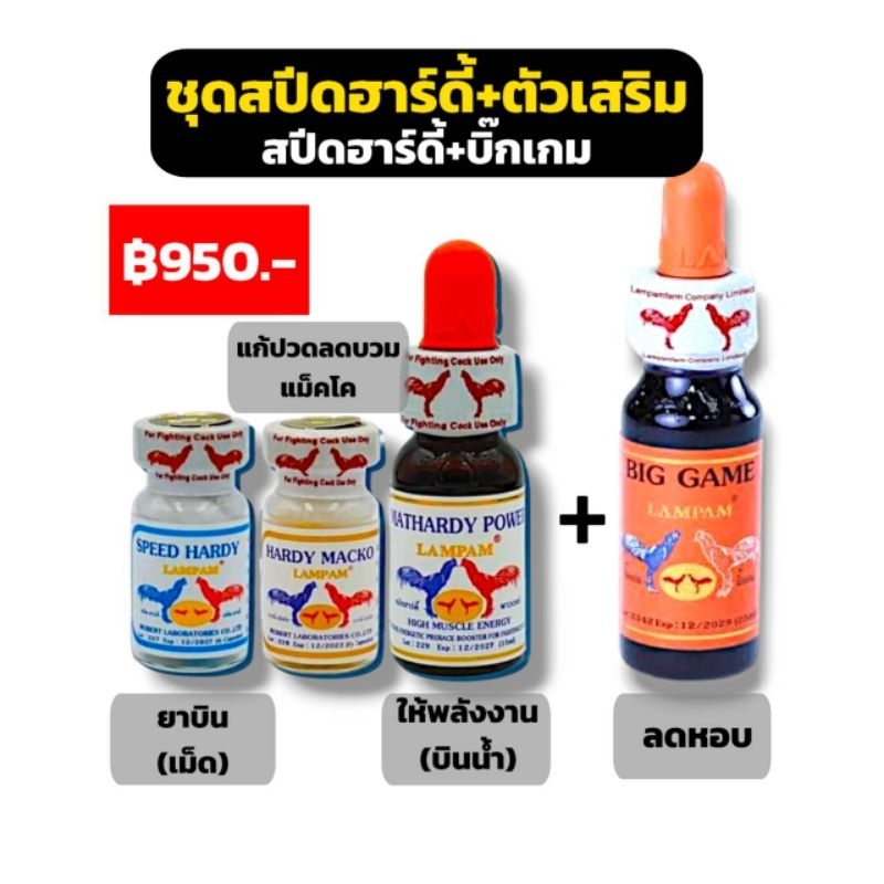 LAMPAM ลำปำ ชุดสปีดฮาร์ดี้+บิ๊กเกม(ลดหอบ)